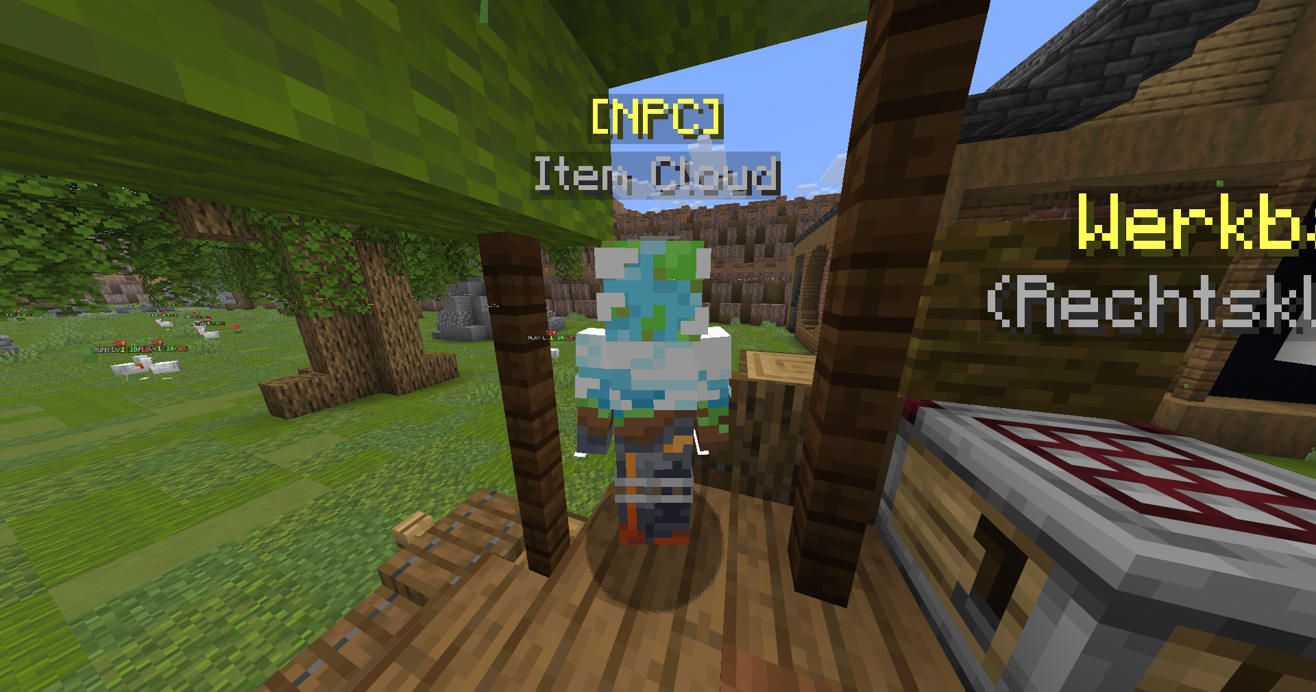 ItemCloud-NPC am Spawn